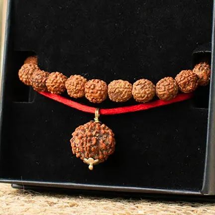 Original Rudraksha Mala - 108 Beads for Meditation & Spiritual Practice