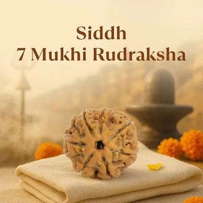 Original Rudraksha Mala - 108 Beads for Meditation & Spiritual Practice