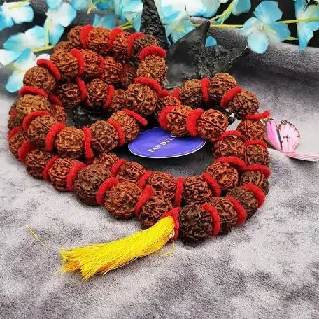 Original Rudraksha Mala - 108 Beads for Meditation & Spiritual Practice